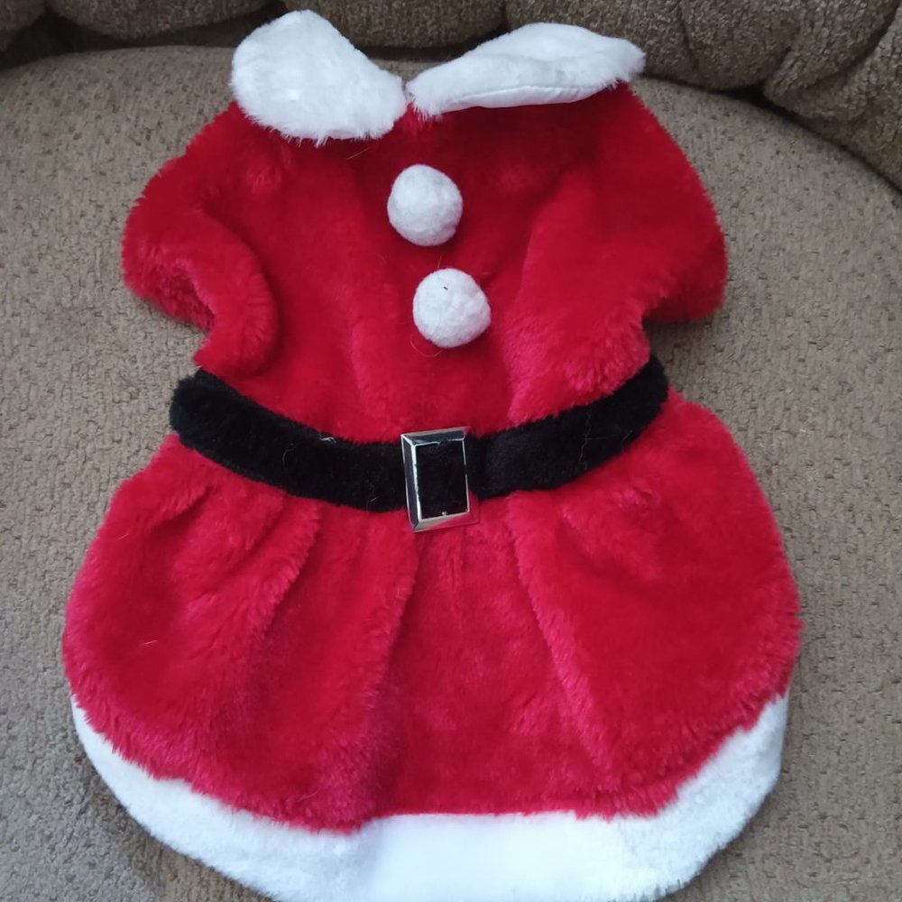 Mrs. Clause Pet Dress